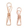 Rose Gold Stainless Steel Clothes Pegs – Rust Proof Image