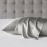 Silver Organic Silk Pillowcase Image
