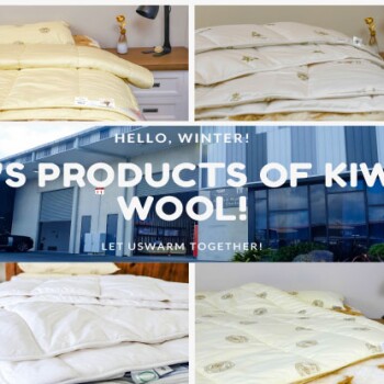 KIWI WOOL INTERNATIONAL LIMITED Store Photo