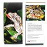 Forest Gecko Notepad Image