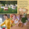 EKOH Vegan  Food Wraps  Organic Reusable Bee Print 3pk Image