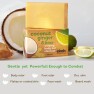 Organic Coconut Soap Lime Ginger Body Bar 200g Image